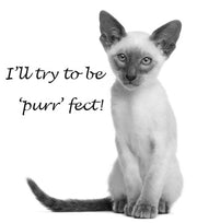 I'll try to be 'purr' fect! Siamese