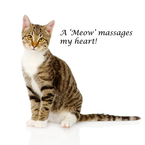 Tabby Puss massages my heart!