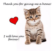Thank you for giving me a home!